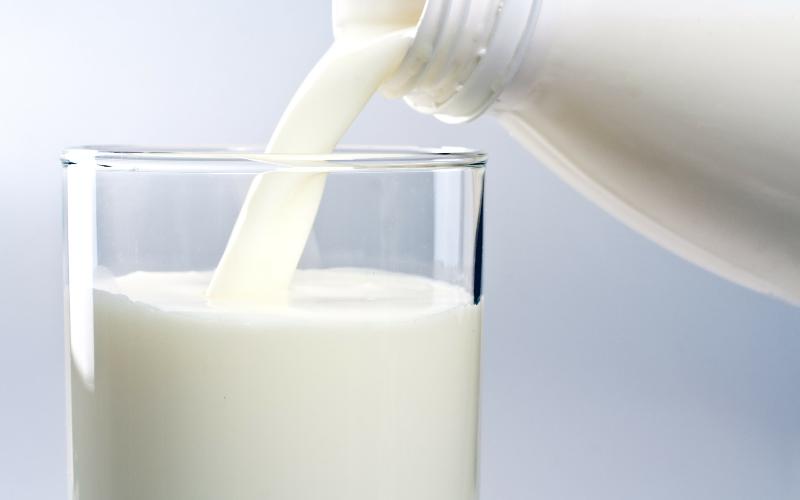 Chilean Dairy Exports Surge by 22.1% by August