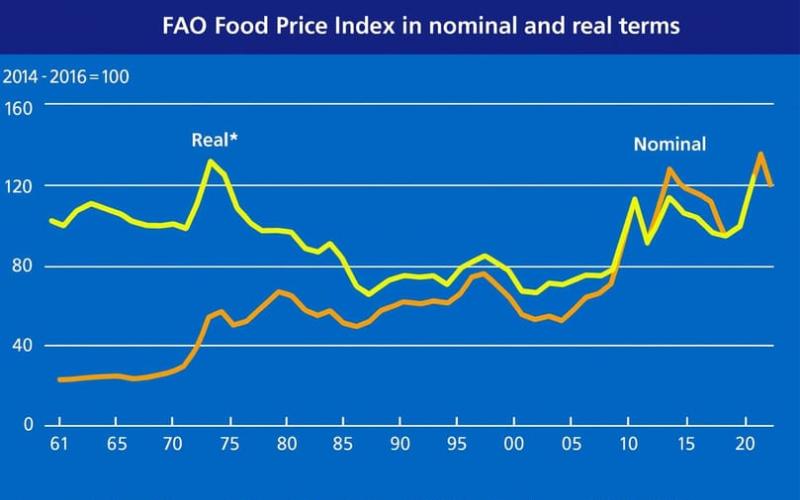 FAO Üçüncü Kez Küresel Gıda Fiyatlarında Düşüş Raporladı