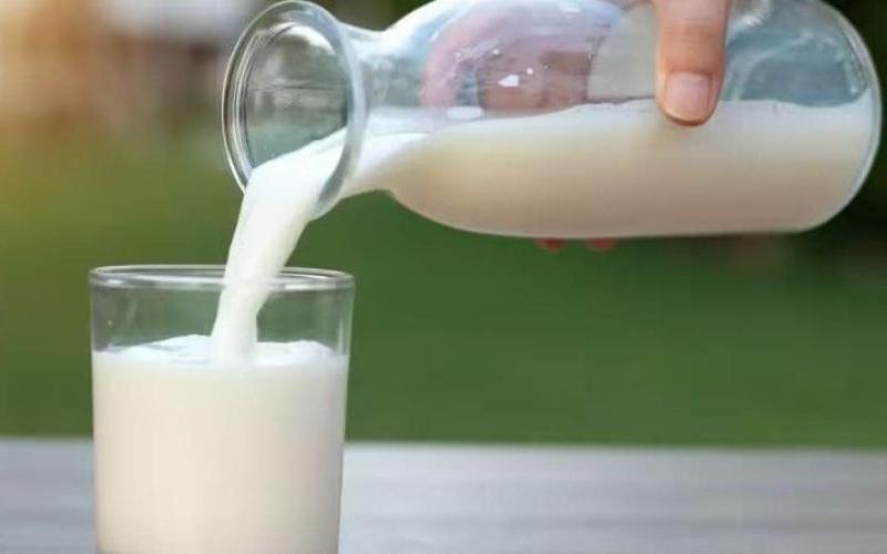 Maharashtra Dairy Supply Chain Faces Challenges Amid Rising Costs