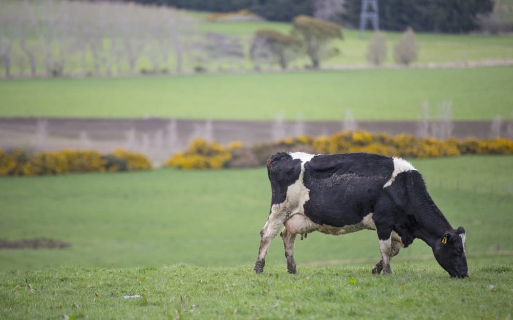 The agricultural policy discussions are becoming increasingly contentious, resembling a minefield