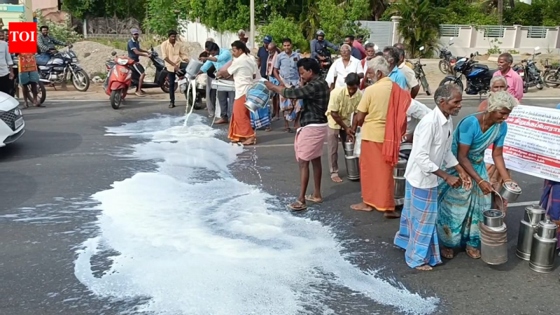 Tamil Nadu dairy farmers protest for higher prices and loan relief