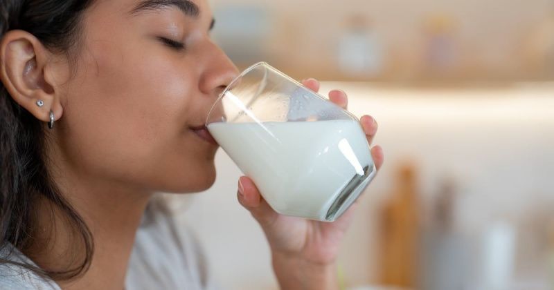 Mintel: functional claims reach 27% of European dairy-drink and alternative launches