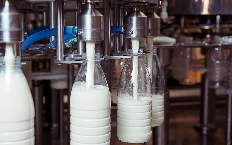 إنتاج الحليب في روسيا يستمر في الارتفاع، لكن سوق منتجات الحليب الكامل يتراجع