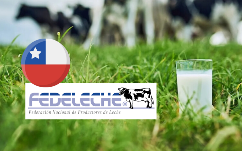 Fedeleche Discusses Challenges and Market Dynamics at Director Meeting