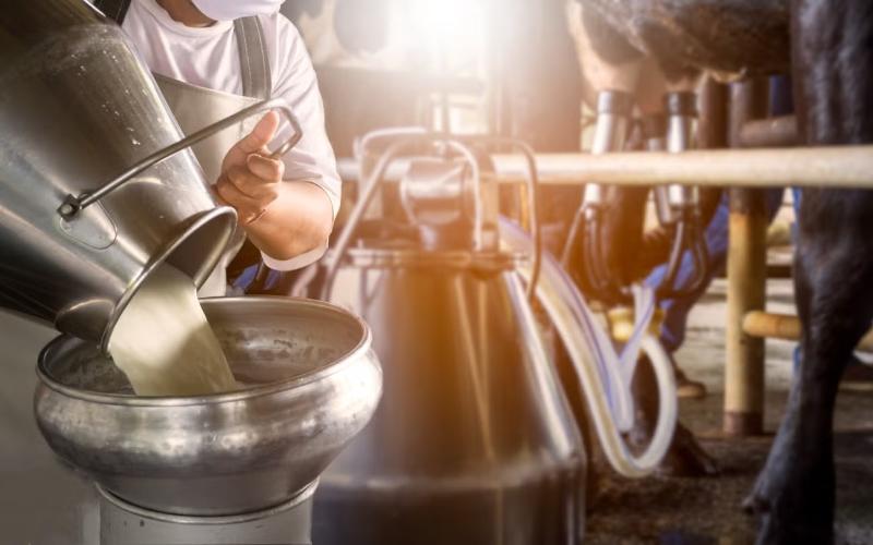 Canada To Honour Dairy Access Under CPTPP Dispute Agreement