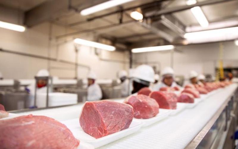 Hong Kong and Mainland China Finalize Dairy and Meat Export Agreements