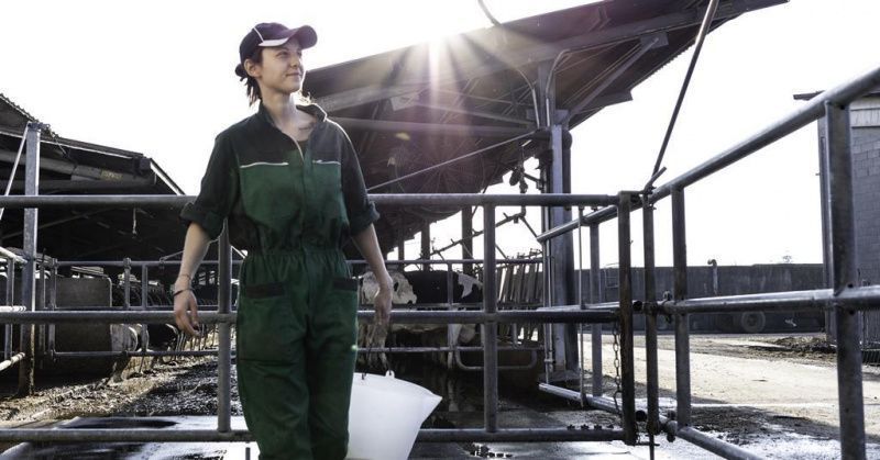 Arla finds British dairy farmers struggle to recruit skilled workers