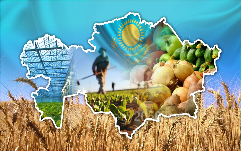 Женис Осербай: На развитие казахстанского АПК в текущем году предусмотрено 900 млн долларов