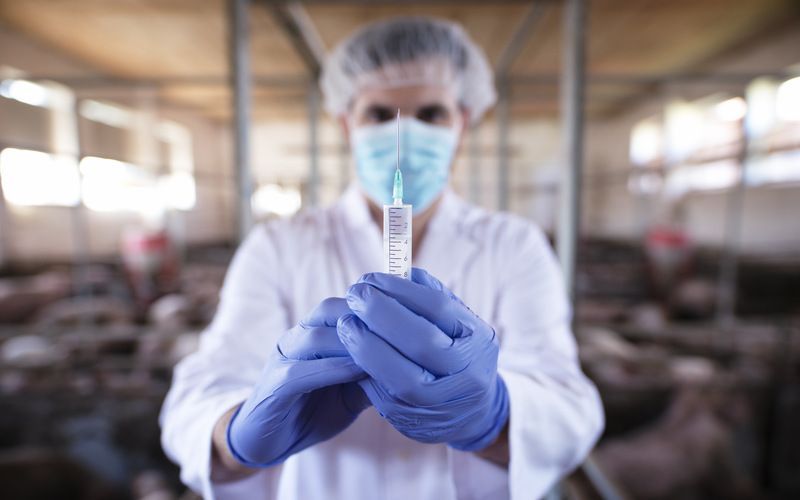 Gujarat charts AMR strategy amid soaring milk production