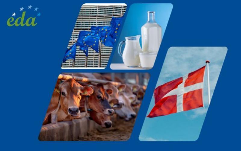 Drinkable Dairy Should Be Exempt from Sugar Taxes, Says EDA