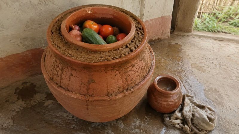 Rajasthan's Ancient Habur Stone Pots Revolutionize Dairy Preservation