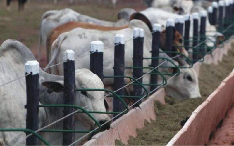 DAHD Reviews Progress on White Revolution 2.0 to Strengthen Dairy Sector