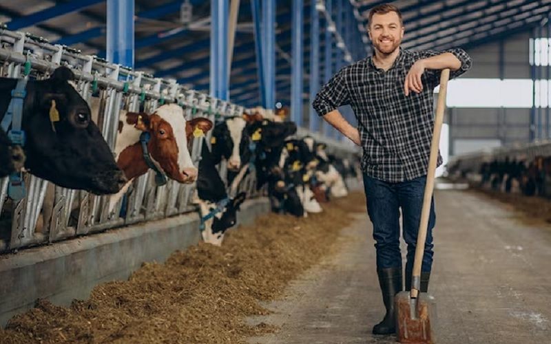 Russian Farmers Request Abolition of Dairy Product Labeling Due to Rising Costs