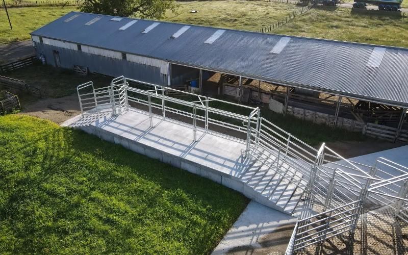 Te Pari Introduces Modular AB Race for Enhanced Dairy Farm Safety