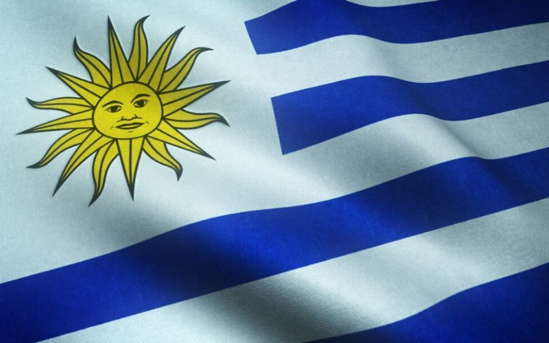 Milk Price Surge in Uruguay: Breaking Records