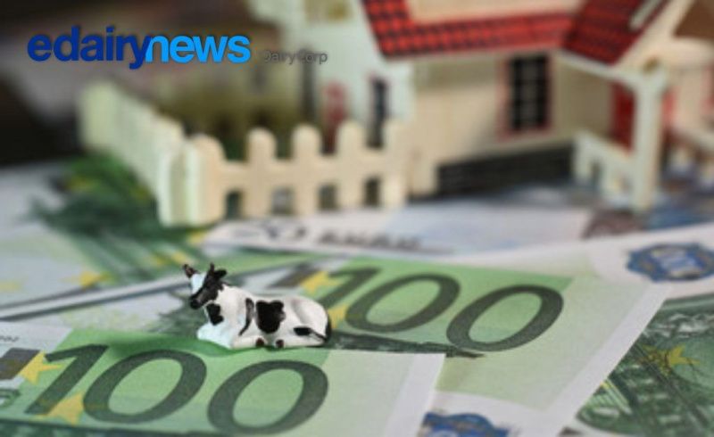 Financial Hedging Gains Importance in New Zealand Dairy Sector