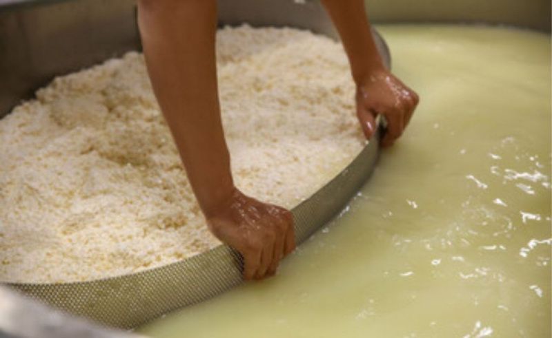 Protein üreticileri, peynir altı suyu eksiklikleri nedeniyle ürünlerini yeniden formüle ediyor