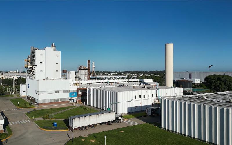 GEA, Belfast'te Yeni Yapay Zeka Yazılım Laboratuvarı ile Dijital Süt Ürünleri Yetkinliklerini Genişletiyor