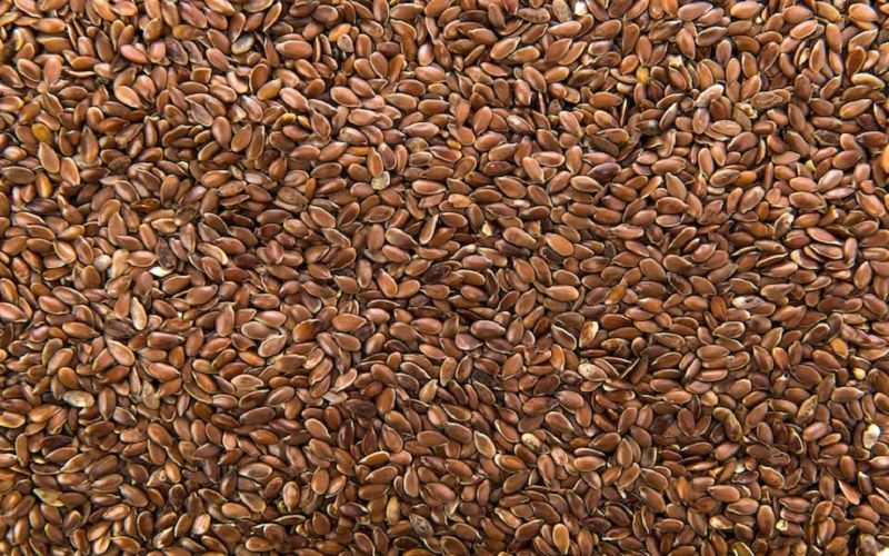 Экспорт масложировой продукции из Казахстана превысил 1 млн тонн