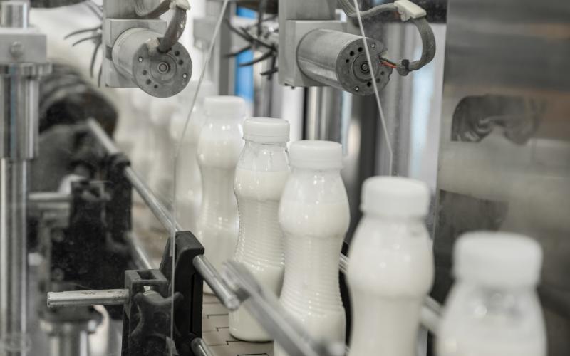 USDA, 2026'ya Kadar Meksika Süt Üretiminde %2 Büyüme Öngörüyor