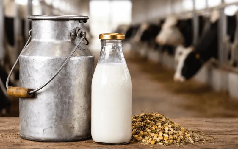 喜马偕尔邦提高牛奶价格以加强乳制品行业