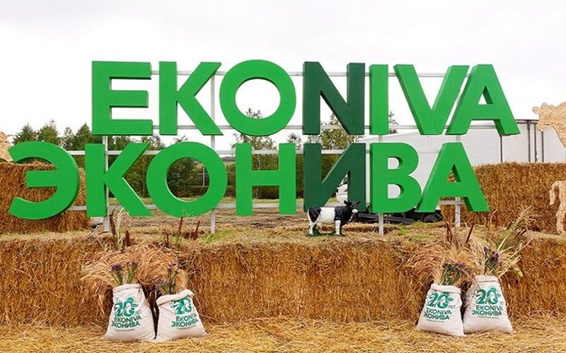 Фермы в Татарстане и на Алтае, новые сыры и кратный рост экспорта в Китай. Рассказываем о планах «ЭкоНивы» на 2024 год