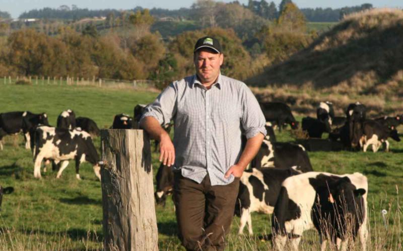 زيادة ثقة المزارعين في نيوزيلندا بفضل ارتفاع أسعار الألبان