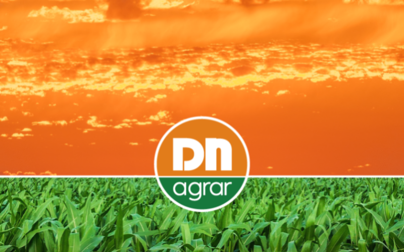 DN AGRAR Group's Robust Growth in Q1 2025