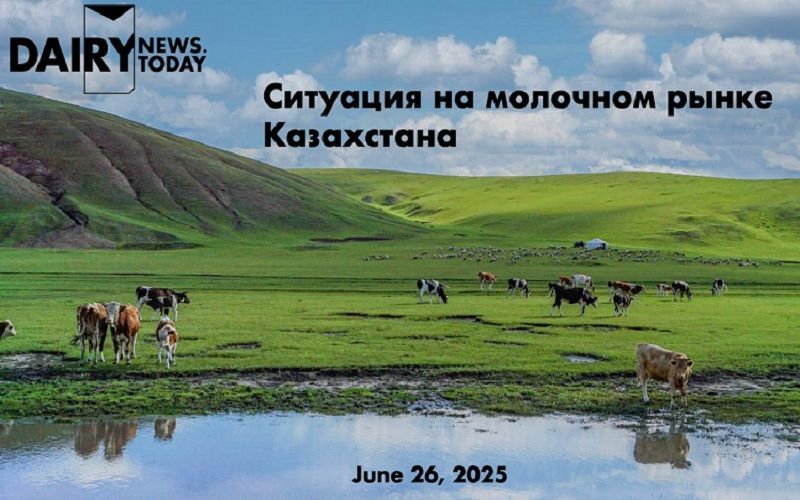 Презентация Презентация
