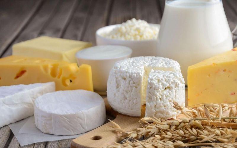 Kazakhstan Does Not Produce Enough Milk for Itself: Mikhail Mishchenko Outlines Key Challenges and Forecasts for the Industry