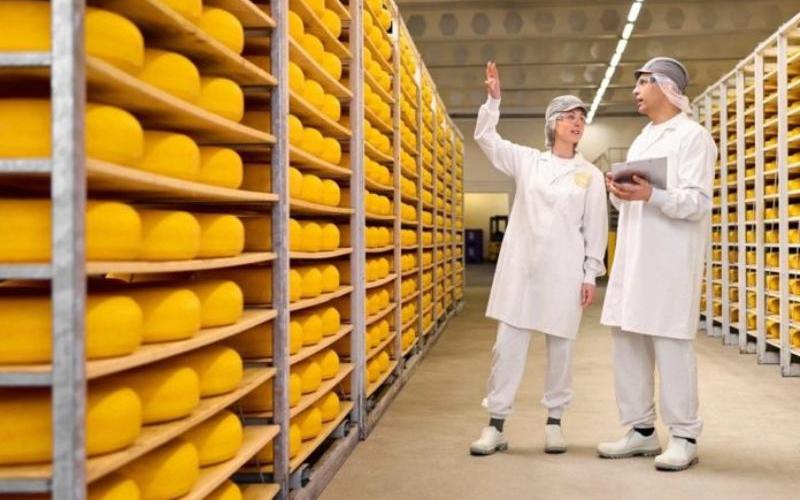FrieslandCampina to Divest Romanian Operations