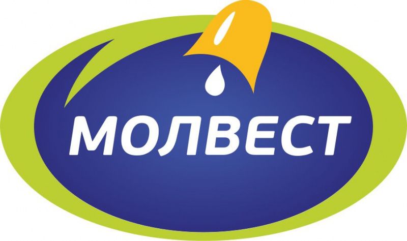 ГК «Молвест» инвестирует 13 млрд рублей в развитие производства