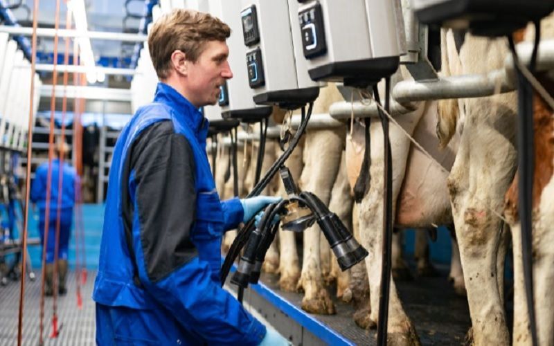 DeLaval поднимает доение на новый уровень с системой автоматизации доильных мест