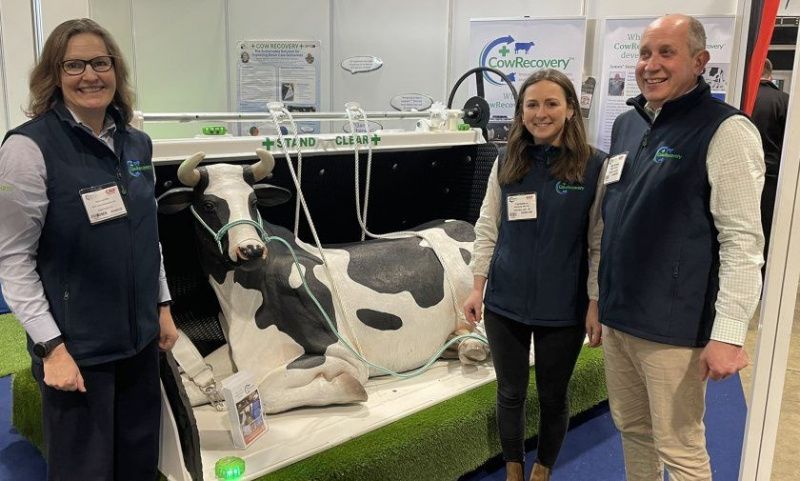 New Device Aims to Improve Welfare for 'Down' Cows and Farm Safety