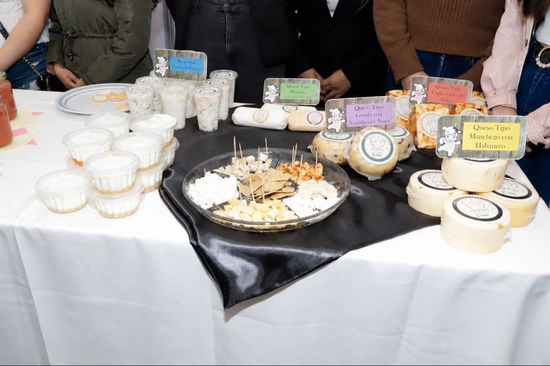 Mexican Researchers Aim to Preserve Artisan Cheese Tradition