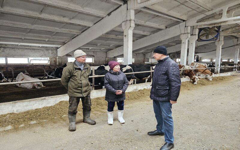 В Акмолинской области, на ферме 