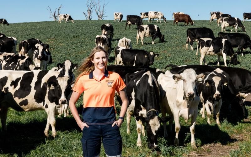 Fonterra y Growing Future Farmers Lanzan Programa de Capacitación en Lácteos