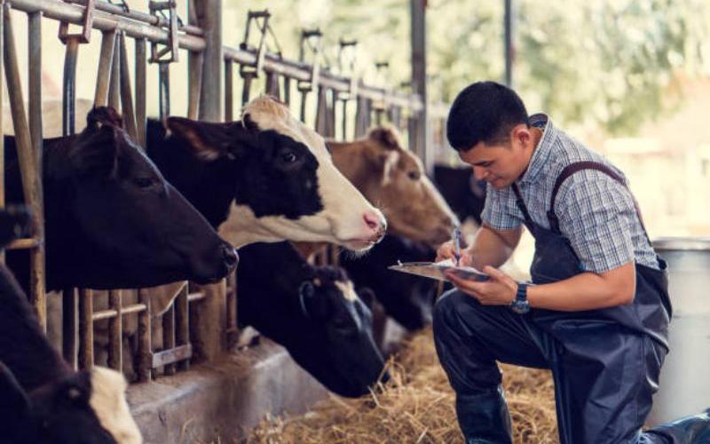 Australian Dairy Farmers Demand Price Increase Amidst Inflation Disparity