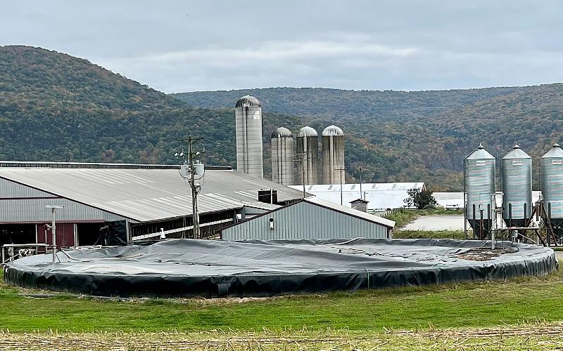 Sustainable Dairy Farming: Impact of Grass2Gas Practices Evaluated by Penn State