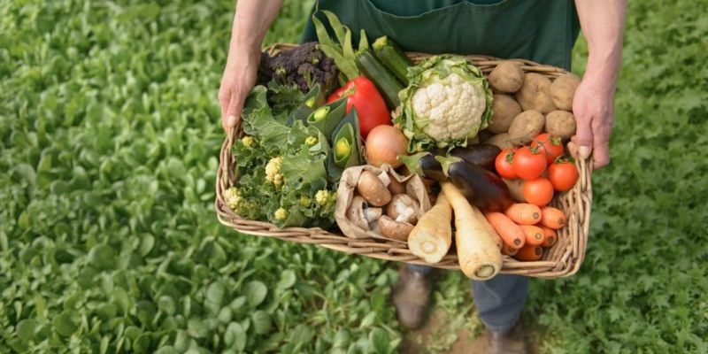 Латвия изучает возможности экспорта молока, мяса и технологий в Казахстан Латвия изучает возможности экспорта молока, мяса и технологий в Казахстан