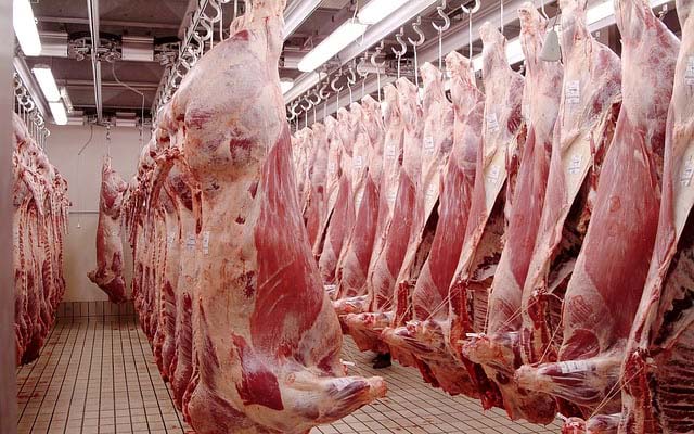 Скотобойни сливают кровь и отходы животных в канализацию Шымкента