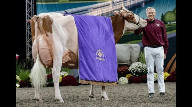 World Dairy Expo 2026 Opens Entries with Updated Biosecurity Rules