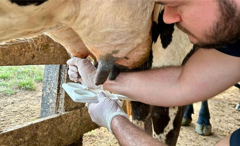 Sütçülükte Teknolojik İlerlemeler ve Mastitis Mücadelesi