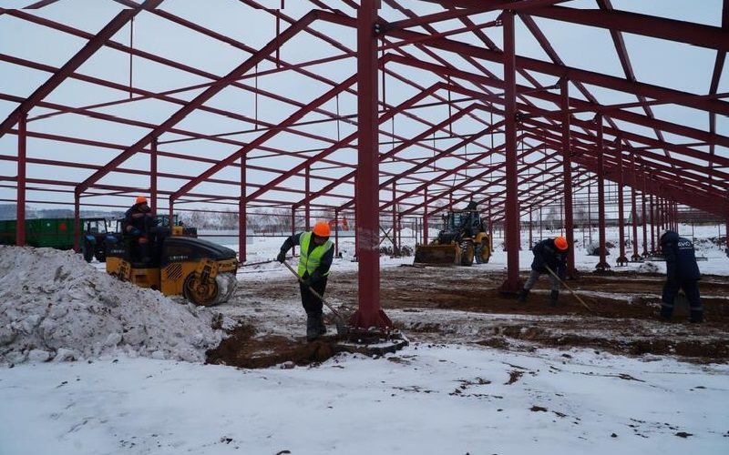 В Акмолинской области строят молочную ферму на 1 440 коров и завод по переработке молока