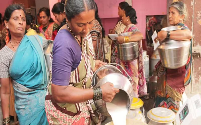 Telangana Dairy Cooperative to Increase Milk Procurement and Expand Parlour Network