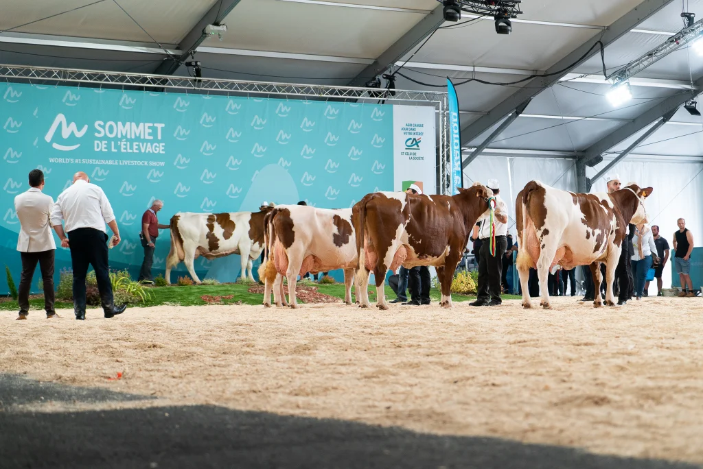 Animals Return to Sommet de l’Élevage After Previous Exhibition Was Held Without Them Due to Disease Risk