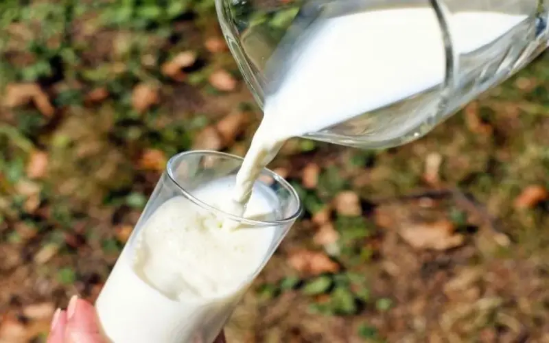 Punjab Announces Major Price Cuts on Verka Dairy Products