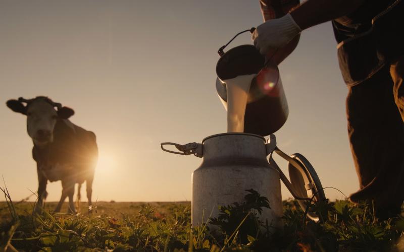 U.S. Dairy Industry Supports USDA's Food for Peace Dairy Funding