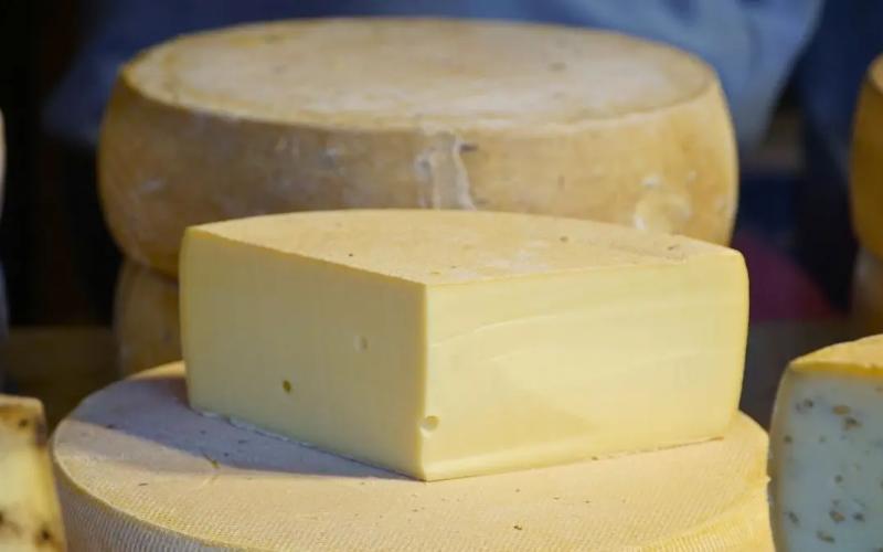 India Implements New Regulations on Cheese Analogues