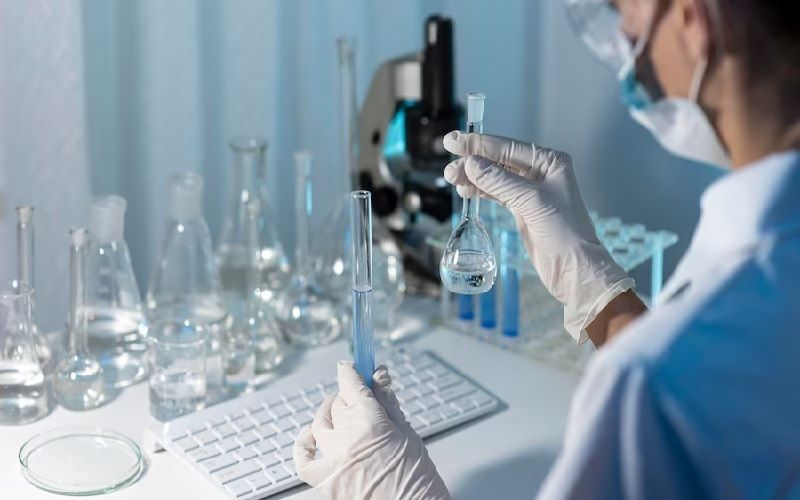 İsrailli Girişim, Süt Proteinleri Üreten Patateslerle Moleküler Tarım Alan Denemelerine Başladı